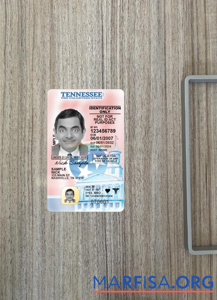 Printable USA Tennessee under 21 driving license 2024 present photolook example